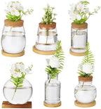6PCS Plant Propagation Station, Desktop Plant Propagation Jars with Wood Lid and Stand, Glass Propagation Vases for Plant Growing, Hydroponic Home, Office Decor (6 Styles) by Unknown