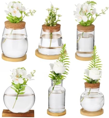 6PCS Plant Propagation Station, Desktop Plant Propagation Jars with Wood Lid and Stand, Glass Propagation Vases for Plant Growing, Hydroponic Home, Office Decor (6 Styles) by Unknown