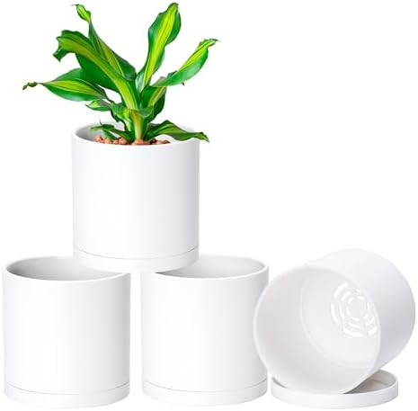 D'vine Dev 4-Pack White Plastic Planters with Saucers, 5.5 in, 74-Z-H-2 by DvineDevPlanterPotsandStand