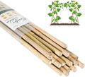 Cambaverd Bamboo Stakes 7 Feet, 15 Pack Bamboo Poles for Tall Plants by Cambaverd