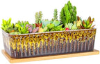 Succulent Pots, 12'' Long Rectangle Planters with Tray, Windowsill Planter by ARTKETTY