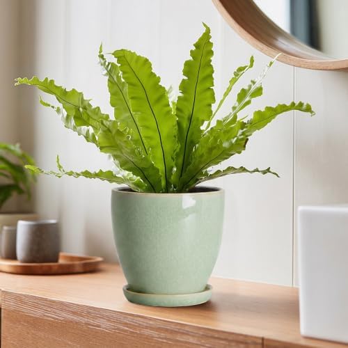Ceraimc Planters Indoor, 6 Inch Ceraimc Flower Pots, Retro Green - Image 3