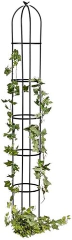 Evergreen Metal Garden Obelisk Trellis for Climbing Plants Outdoor, Indoor Plant Trellis for Potted Plants, Floral Pattern Arch Trellis (Black, 7 ft. Round) by EvergreenGarden