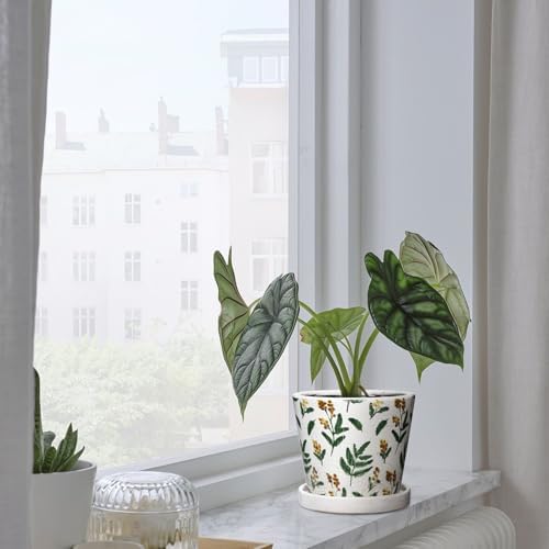 5.5 Inch Decorative Plant Pots, Round Ceramic Planters for Indoor Plants Pots with Drainage Hole Saucers, Lemon Green Leaves Ceramic Flower Pots Retro Planter Pot for Succulents Cactus Outdoor Garden - Image 5