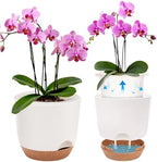 7.2 Inch Self Watering Orchid Pots for Indoor Plants,Macetas para Orqudeas,Flower Pots for Indoor Plants with Holes(White) by Sxueg