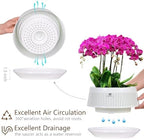 Orchid Pots with Holes for Repotting, Decorative African Violet Pots with Air-Pruning and Good Air Circulation, Plastic White Orchid Planter with Saucers, 8 Inch, Set of 2 - Image 3