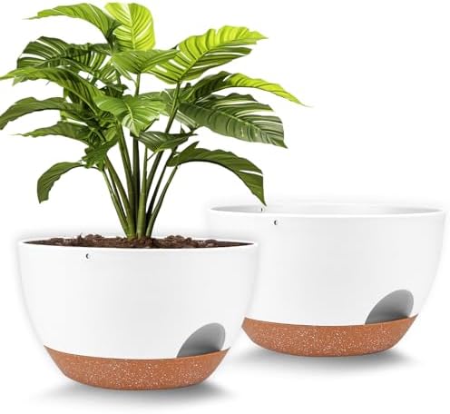 Vanslogreen Plant Pots 12inch Self Watering Pots, Set of 2 Plastic Planters with Drainage Holes and Saucers, Flower Pots for Indoor Outdoor Plants (White) by Vanslogreen