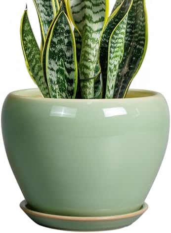 Ceramicfor 8 Inch Plant Pot - Ceramic Planter for Outdoor Plants Indoor Plant Pot with Drainage Hole and Saucer Mid-Century Round Planter Flower Pot for House Garden Green by Ceramicfor