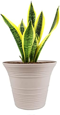 The HC Companies 12 Inch Sedona Round Self Watering Planter - Decorative Lightweight Plastic Plant Pot for Indoor Outdoor Plants Flowers Herbs, Cottage Stone (Pack of 3) - Image 6