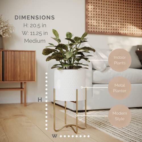 EverNest Claire Mid-Century Modern White Plant Pot with Ambrose Stand, SelectBase, Indoor Planter, Bohemian Style, Minimalist Plant Home Décor (Medium, Gold) - Image 2