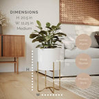 EverNest Claire Mid-Century Modern White Plant Pot with Ambrose Stand, SelectBase, Indoor Planter, Bohemian Style, Minimalist Plant Home Décor (Medium, Gold) - Image 2