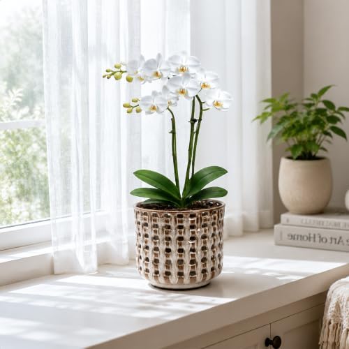 D'vine Dev 6.7 Inch Ceramic Orchid Planter with Lattice Cutout Design, Glazed Cachepot with Clear Nursery Pot & Detachable Saucer for Orchids and Indoor Plants, Stone Taupe, 28-A-Y-7 - Image 7