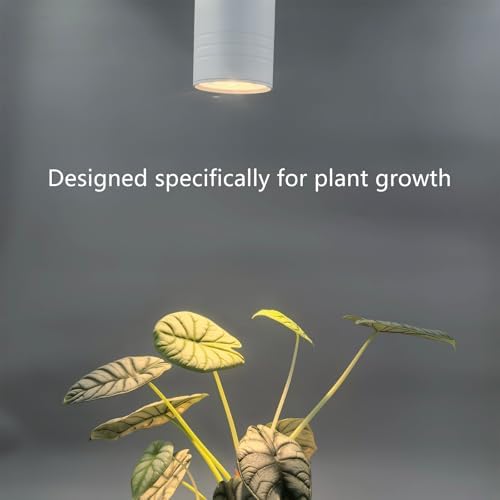 Hanging Plant Grow Light Full Spectrum Warm White Color with Timer Ceiling Decorative Grow Lamp for Indoor Plants - Image 4
