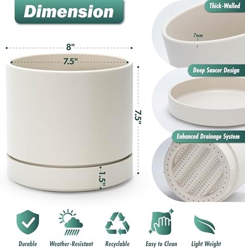 Phoenix Vine 8 Inch Planter Pot with Drainage Hole & Saucer, Deep Water Catch Tray, Straight Cylindrical Round Pot for Plants, Oatmeal, Pack of 2, 23-E-T-2 - Image 3