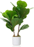 2 Pack Realistic Artificial Fiddle Leaf Fig Trees in Marble-Look Pots – Faux Green Potted Plants for Indoor Home & Office, Cement Moss Base, 40cm - Image 6