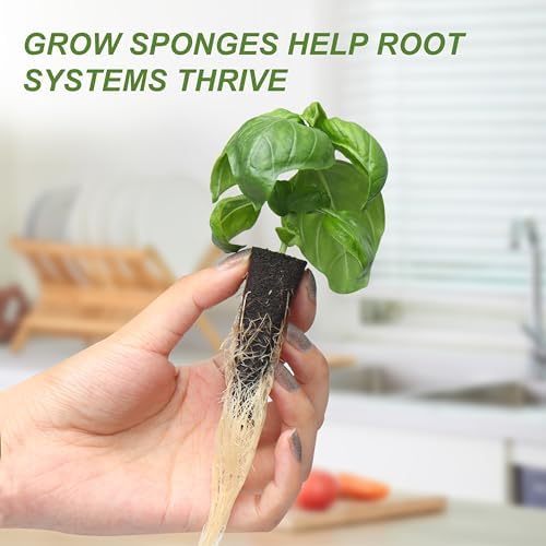 Kratky Method Hydroponic Planter Kit, 8 Hydroponic Planter Plus 24 Growing Sponges for Herbs, Hydroponic Mini Buckets for Windowsill Herb Garden, Hydroponic Growing System for Vegetables (Black) - Image 4