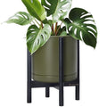 D'vine Dev Ceramic Pot with Ebony Wood Stand, Olive, 12 in, 55-B-H-J by DvineDevPlanterPotsandStand