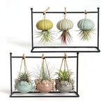 6 Ceramic Air Plant Holders & 2 Iron Racks, Hanging Tillandsia Pots by Unknown