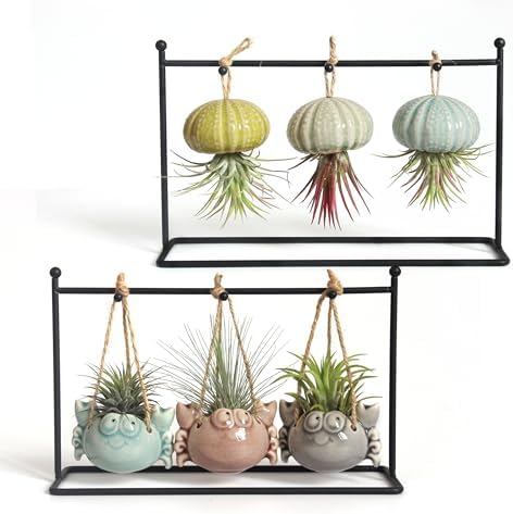 6 Ceramic Air Plant Holders & 2 Iron Racks, Hanging Tillandsia Pots by Unknown