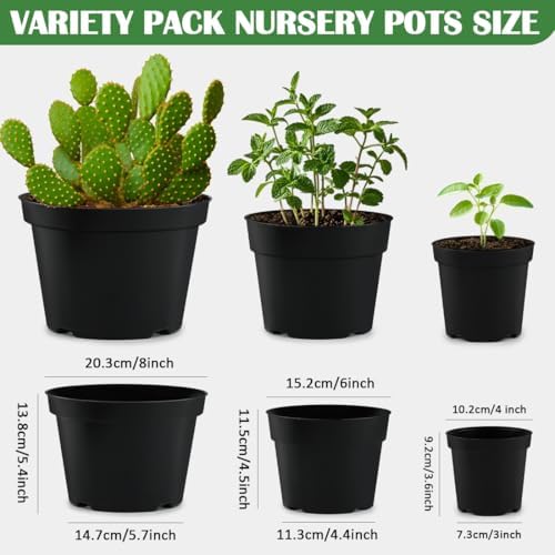 RooTrimmer 4/6/8 Inch Black Plant Nursery Pots, 15 Pack, Thickened Plastic with Drainage Holes, Indoor/Outdoor - Image 3
