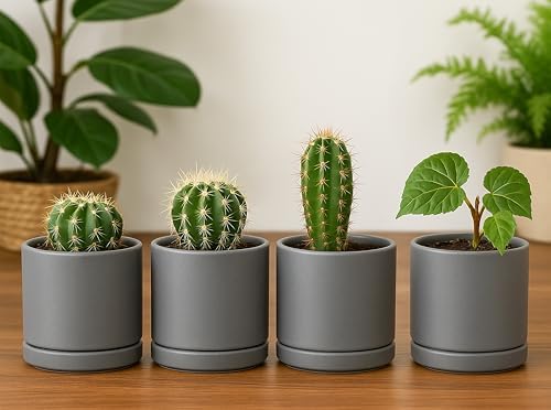 D'vine Dev 4-Pack Ceramic Pots with Saucers, Grey, 3.5 in, 94-X-A-3 - Image 3