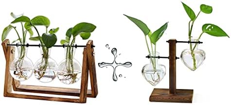 XXXFLOWER Plant Terrarium with Wooden Stand Air Planter Bulb Glass Vase Metal Swivel Holder Retro Tabletop for Hydroponics Home Garden Office Decoration by XXXFLOWER