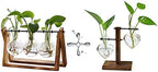XXXFLOWER Plant Terrarium with Wooden Stand Air Planter Bulb Glass Vase Metal Swivel Holder Retro Tabletop for Hydroponics Home Garden Office Decoration by XXXFLOWER