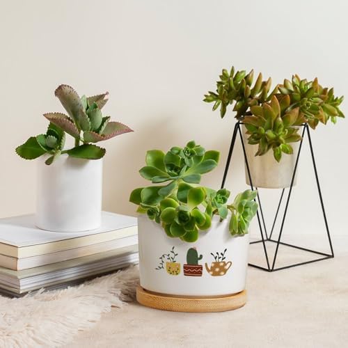 DreamAutumn Plants Ceramic Flower Pots Set of 3,Gardening Plant Pot with Drainage Holes and Saucers Round Ceramic Pots for Indoor Plants Succulent Herbs Cactus Pots - Image 4