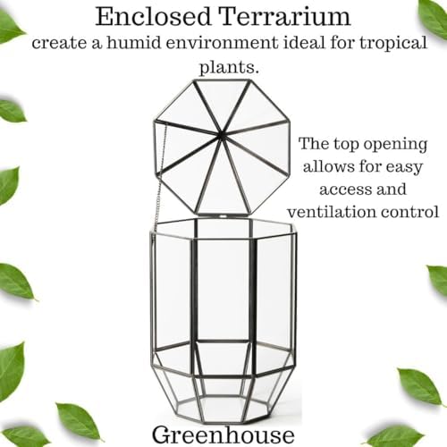 SuperMoss (90405) Glass Terrarium – Elegant Indoor Gardening Décor, Ideal Gifts for Plant Lovers, Modern Home & Office Decoration, 7.5” x 7.5” x 14”, Greenhouse - Image 2