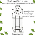 SuperMoss (90405) Glass Terrarium – Elegant Indoor Gardening Décor, Ideal Gifts for Plant Lovers, Modern Home & Office Decoration, 7.5” x 7.5” x 14”, Greenhouse - Image 2