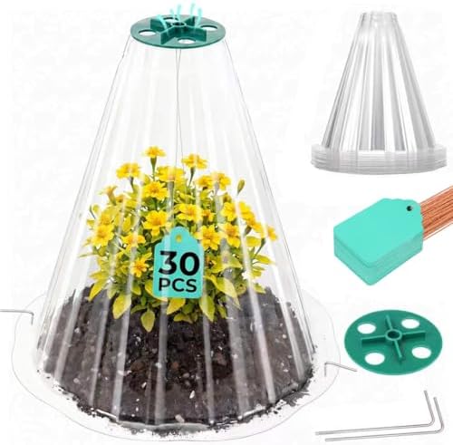 Cloches for Plants, Transparent Plant Covers, Garden Cloches with Humidity Domes, Securing Pegs and Plant Labels, Reusable Plant Protectors from Animals Plant Bell Cover (Transparent-30pcs-M) by Ryscam