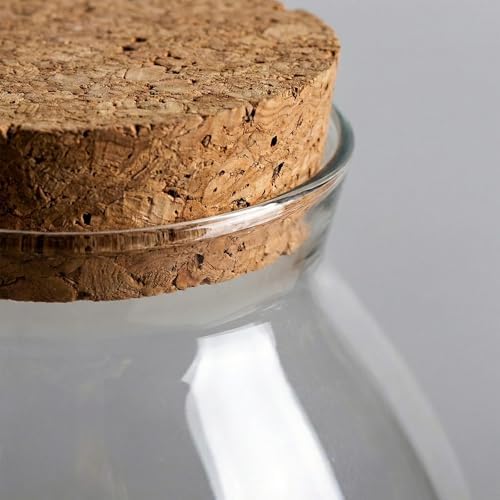 Terrarium Jar, 1800ml Glass Plant Terrarium, Closed Container with Cork Lid for Succulents, Fish Bowl Vase Container - Image 2