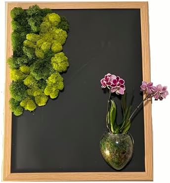Decorative Wall Art Frame with Preserved Moss and attachable live plants, Oak Frame, Black Background, included glass terrarium but not plants by Unknown