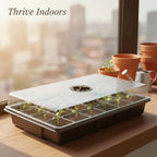 Durable PP Plastic Seedling Tray with Clear Humidity Dome, Propagation Box for Indoor Plant Germination and Cuttings - Image 2