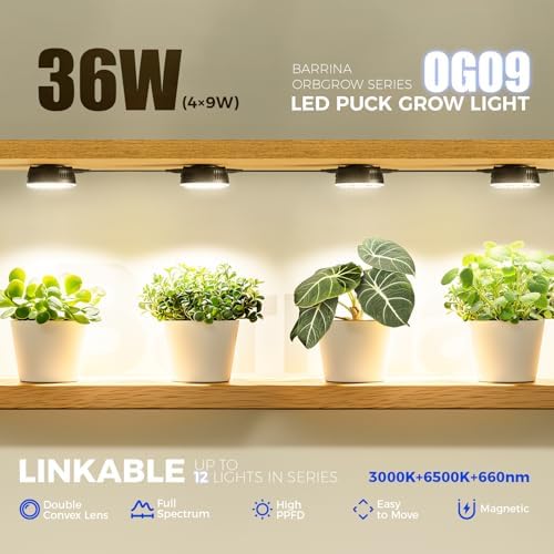 Barrina OG09 Grow Light, 36W(4 x 9W), 660nm Red LEDs, Timer, 4 Packs, Black - Image 3