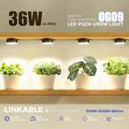 Barrina OG09 Grow Light, 36W(4 x 9W), 660nm Red LEDs, Timer, 4 Packs, Black - Image 3