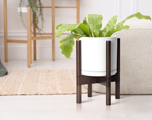 D'vine Dev Ceramic Pot with Walnut Wood Stand, White, 8 in, 55-B-Y-1 - Image 6