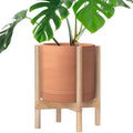 D'vine Dev Terracotta Pot with Natural Wood Stand, 12 in, 55-B-J-5 by DvineDevPlanterPotsandStand