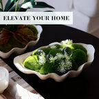 Artificial Shell Moss Bowl Artificially Made Shell Moss Decorative Center Any Decoration Style can be Matched with it. Applicable to Various Places Living Room, Study, Party Venue - Image 4