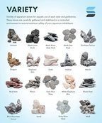 SubstrateSource Natural Aquarium Stones - Soft Grey to Bluish-Grey w/Subtle White Veins - Iwagumi Aquascaping Rocks, Freshwater Tanks, Betta Fish Tank, Shrimp, Cichlids - Boutique Seiryu, 10 LB - Image 6