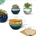 5.5 Inch Succulent Pot with Drainage and Free Saucer Glazed Terracotta Round Ceramic Succulent Planter Cactus Bonsai Plant Pot (Set of 4) - Image 3