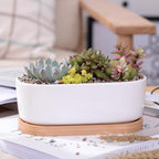 DOITOOL 2pcs Oval Ceramic Flowerpot Hydroponic Pot Ceramic Succulent Planter Outdoor Planters Flower Pots Indoor Bonsai Pot with Tray Garden Planting Container Household Bamboo Set - Image 4