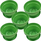 Flower Pots with Saucers, 9 inch, Lime Green, Pack of 5 by AustinPlanter