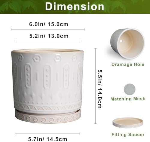 Eightpot Ceramic Planter, 6 Inch Pot for Plants with Drainage Holes and Tray, Round Plant Pots for Indoor Outdoor Plants, Boho Decorative Flower Pots, Home Room Decor, Gifts for Women, White - Image 2