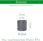 D'vine Dev 4-Pack Ceramic Pots with Saucers, Grey, 3.5 in, 94-X-A-3 - Image 2