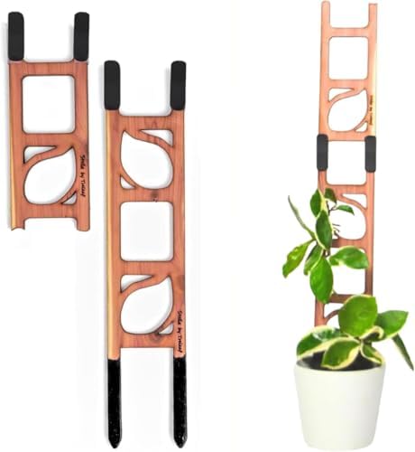 Stella - Modular ladder support by TRELEAF