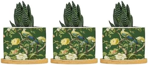 Garden Green Chinoiserie Ceramic Planters Asian Peacock Floral Planters for Indoor Plants with Drainage Holes and Saucers Pot for Pots Outdoor Indoor Plants by BRUYU5SE