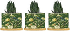 Garden Green Chinoiserie Ceramic Planters Asian Peacock Floral Planters for Indoor Plants with Drainage Holes and Saucers Pot for Pots Outdoor Indoor Plants by BRUYU5SE