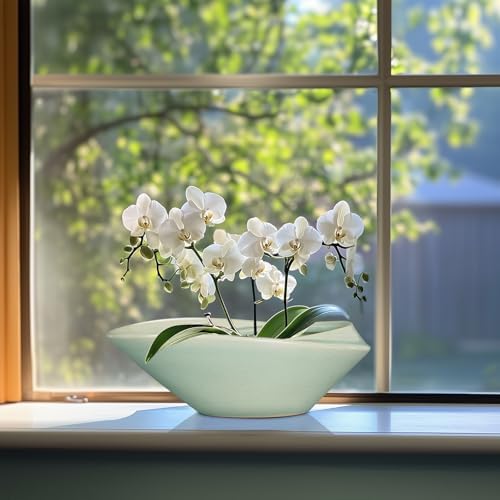 Bonsai Pot - 12 Inch Ceramic Planter Pot with Drainage Hole Large Modern Planter Decorative Glazed Succulent Plant Pot for Indoor Outdoor Plants Green - Image 5