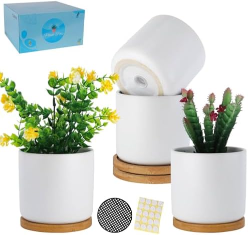 4 Inch White Ceramic Plant Pots with Drainage Holes, Adorable Flower Planter Pot with Tray for Indoor Succulent Plants, Snake Plants, Cactus & Herbs, Set of 4 (Plant Not Included) by TAMAYKIM